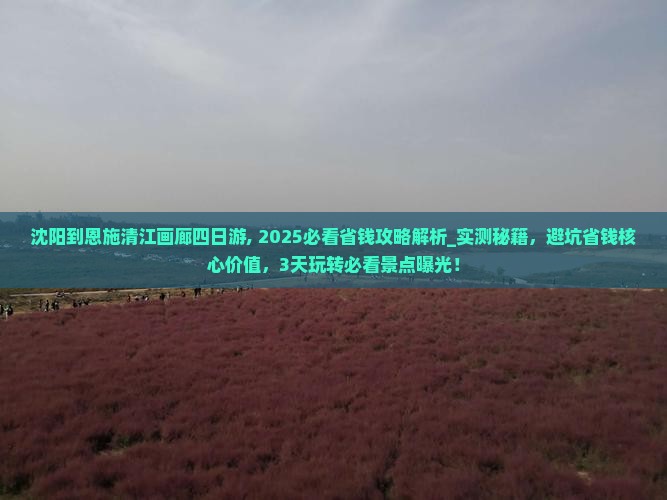 沈阳到恩施清江画廊四日游