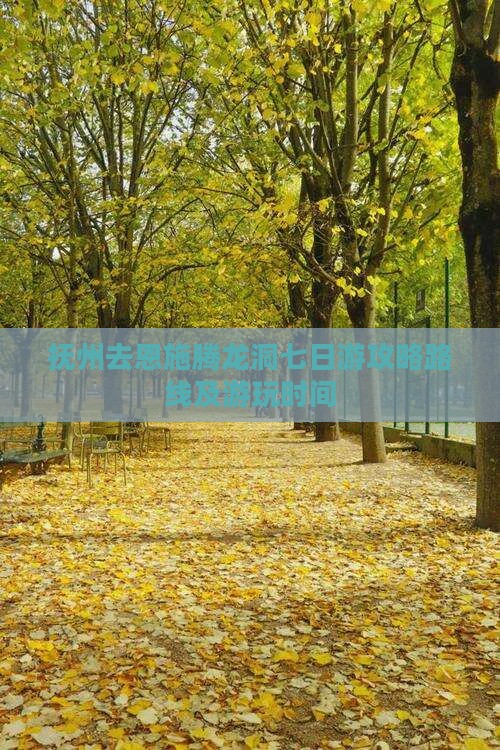 抚州去恩施腾龙洞七日游