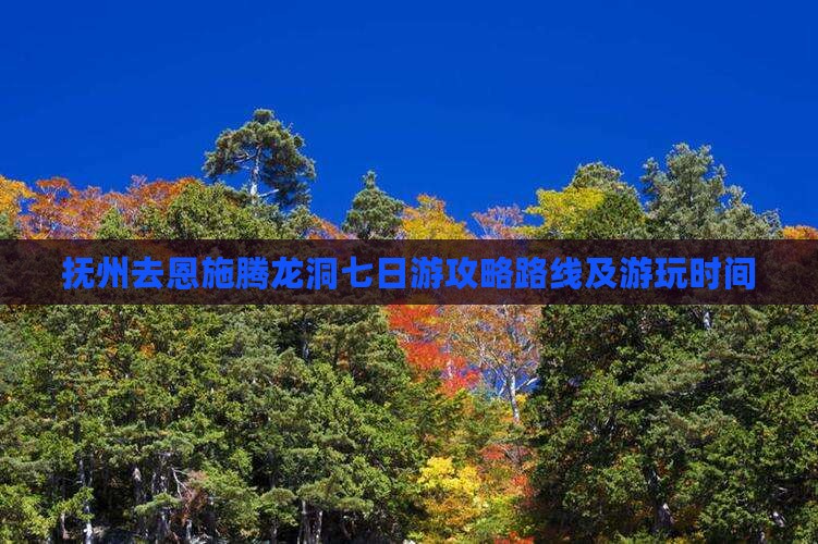 抚州去恩施腾龙洞七日游