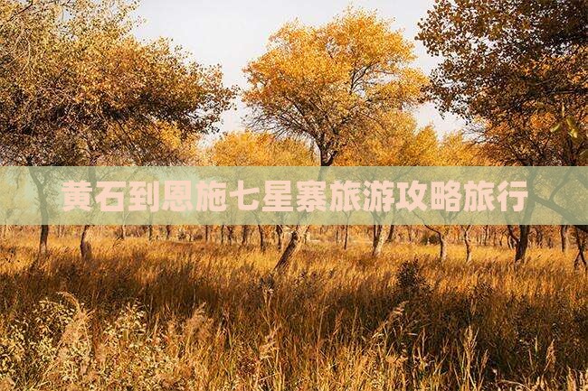 黄石到恩施七星寨旅行社