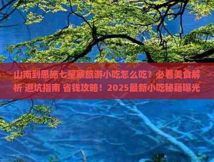 山南到恩施七星寨旅游小吃