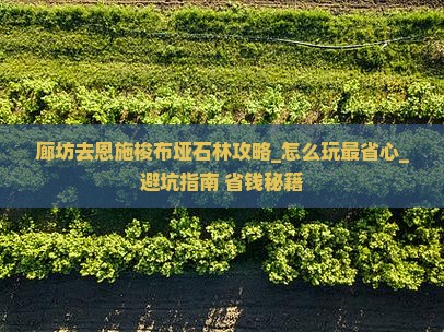 廊坊去恩施梭布垭石林攻略