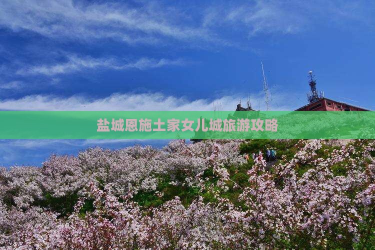 盐城去恩施土家女儿城自由团