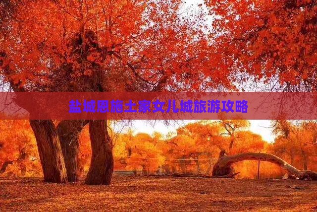 盐城去恩施土家女儿城自由团