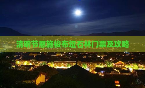 清明节去恩施梭布垭石林门票