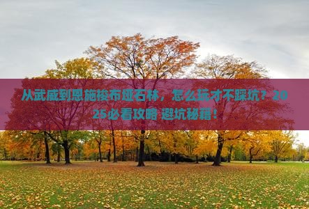 武威到恩施梭布垭石林哪里玩