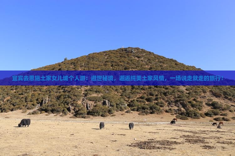 宜宾去恩施土家女儿城个人游