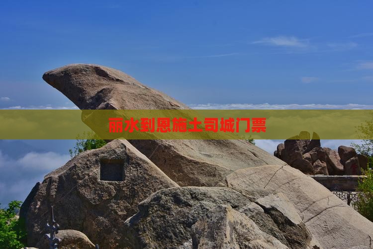 丽水到恩施土司城门票