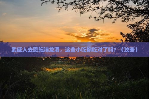 武威去恩施腾龙洞旅游小吃