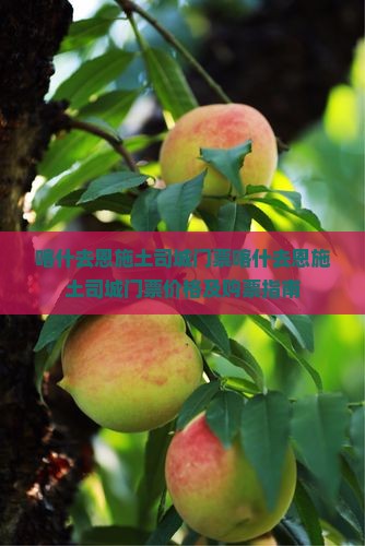 喀什去恩施土司城门票
