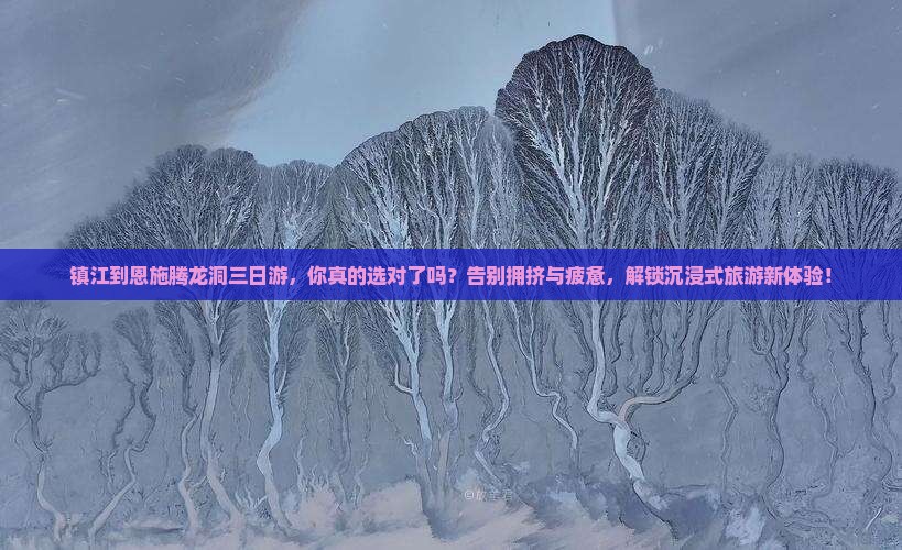 镇江到恩施腾龙洞三日游