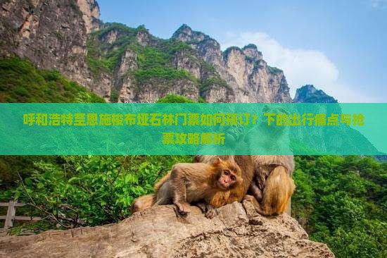 呼和浩特至恩施梭布垭石林门票如何预订？下的出行痛点与抢票攻略解析