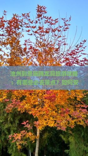 池州到恩施腾龙洞旅游攻略：有哪些必去景点？如何安排行程？