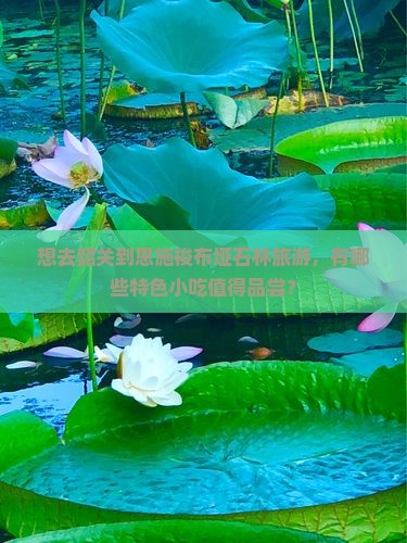 想去韶关到恩施梭布垭石林旅游，有哪些特色小吃值得品尝？