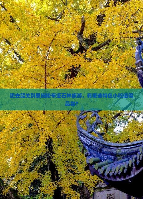 想去韶关到恩施梭布垭石林旅游，有哪些特色小吃值得品尝？