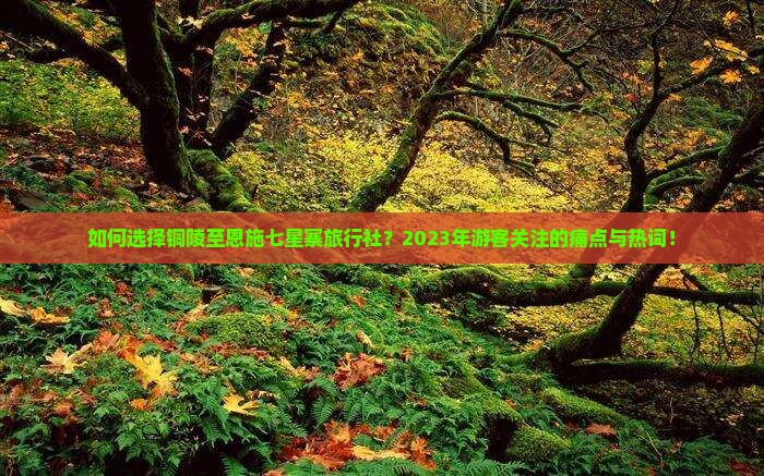 如何选择铜陵至恩施七星寨旅行社？2023年游客关注的痛点与热词！