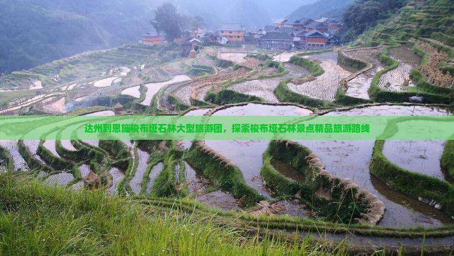 达州到恩施梭布垭石林大型旅游团，探索梭布垭石林景点精品旅游路线