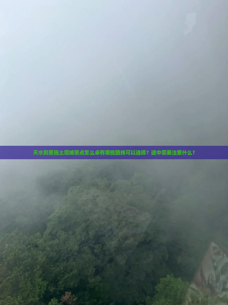 天水到恩施土司城景点怎么卓有哪些路线可以选择？途中需要注意什么？