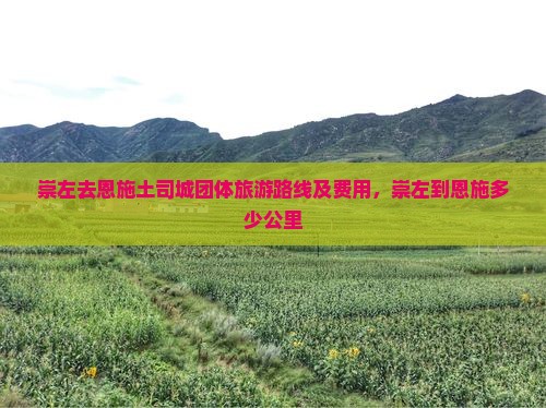 崇左去恩施土司城团体旅游路线及费用，崇左到恩施多少公里