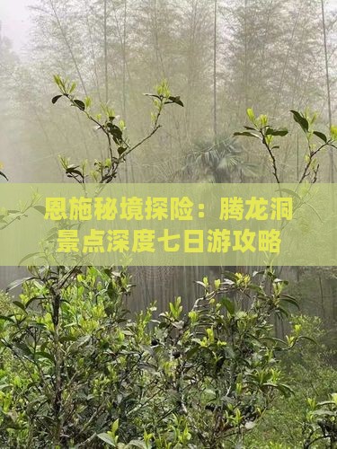 恩施秘境探险：腾龙洞景点深度七日游攻略
