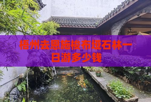 梧州去恩施梭布垭石林一日游多少钱