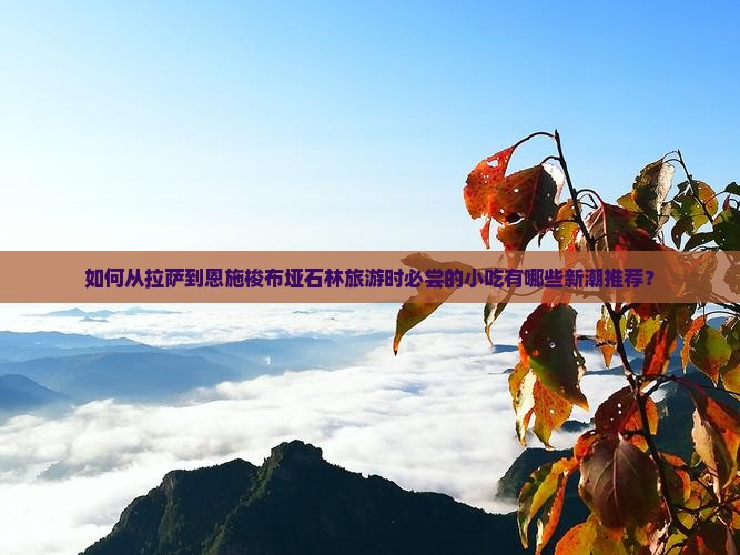如何从拉萨到恩施梭布垭石林旅游时必尝的小吃有哪些新潮推荐？