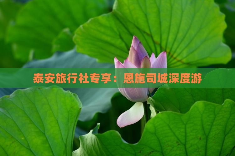 泰安旅行社专享：恩施司城深度游