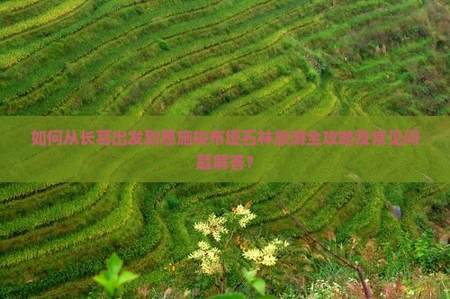 如何从长葛出发到恩施梭布垭石林旅游全攻略及常见问题解答？