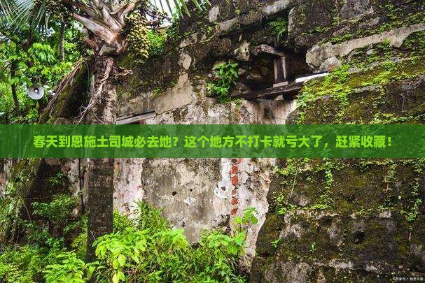 春天到恩施土司城必去地？这个地方不打卡就亏大了，赶紧收藏！