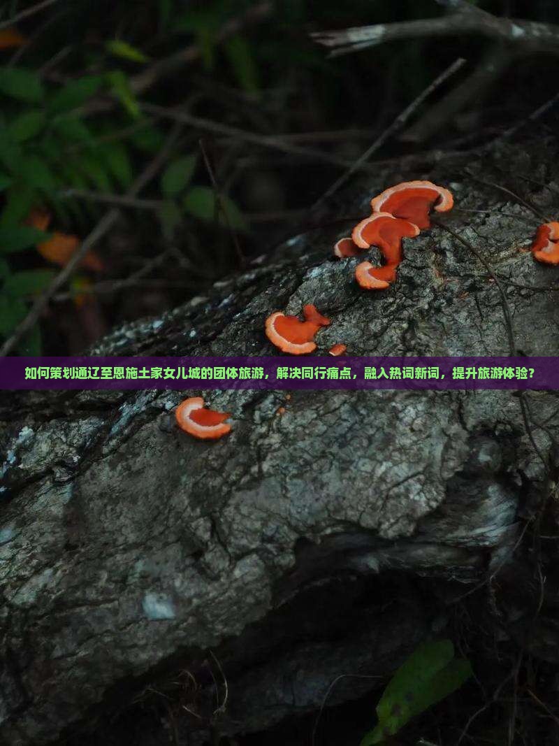 如何策划通辽至恩施土家女儿城的团体旅游，解决同行痛点，融入热词新词，提升旅游体验？