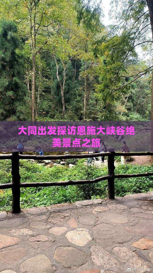 大同出发探访恩施大峡谷绝美景点之旅