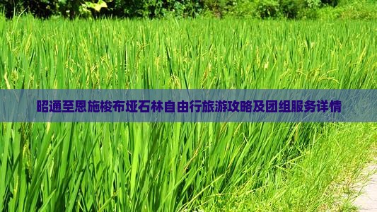 昭通至恩施梭布垭石林自由行旅游攻略及团组服务详情