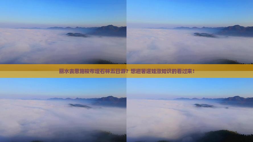 丽水去恩施梭布垭石林五日游？想避暑遛娃涨知识的看过来！
