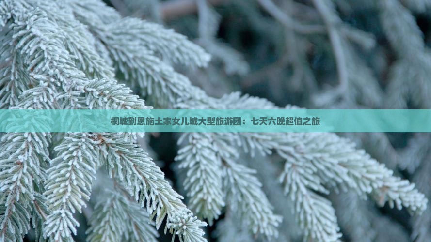 桐城到恩施土家女儿城大型旅游团：七天六晚超值之旅