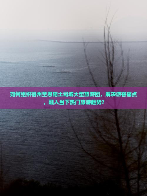 如何组织宿州至恩施土司城大型旅游团，解决游客痛点，融入当下热门旅游趋势？