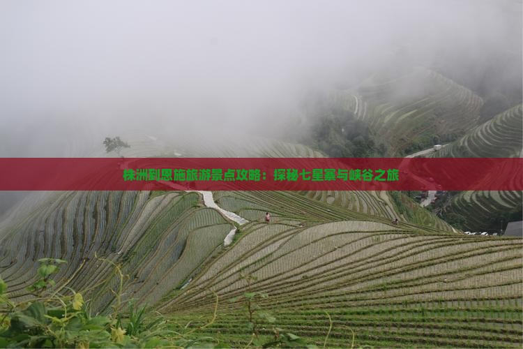 株洲到恩施旅游景点攻略：探秘七星寨与峡谷之旅