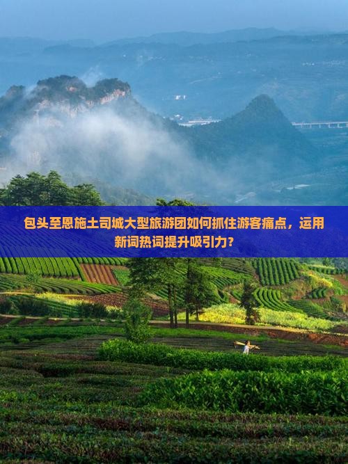 包头至恩施土司城大型旅游团如何抓住游客痛点，运用新词热词提升吸引力？