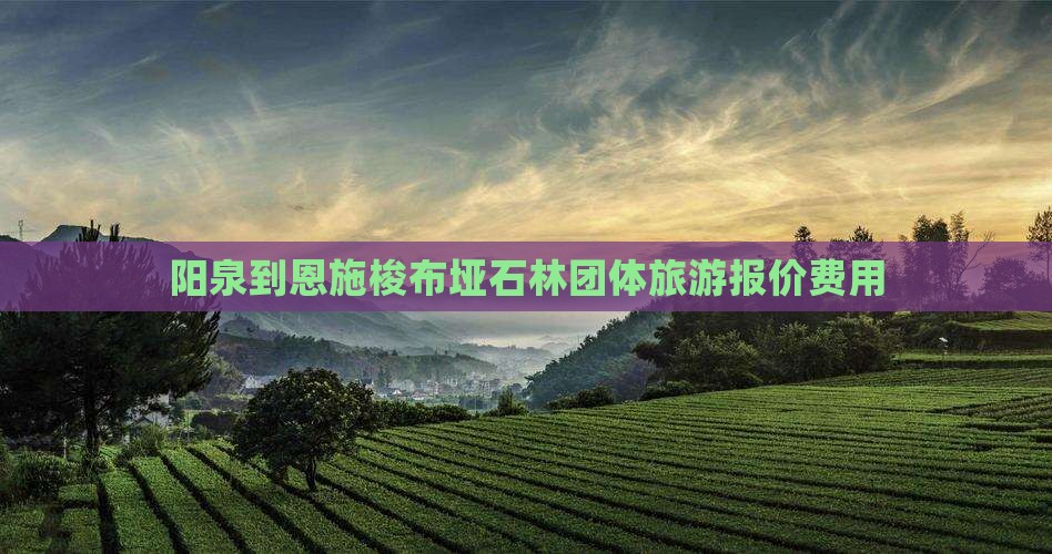 阳泉到恩施梭布垭石林团体旅游报价费用