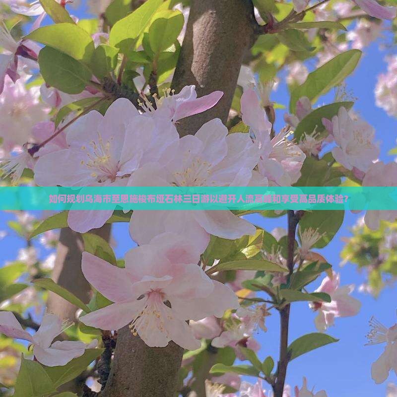 如何规划乌海市至恩施梭布垭石林三日游以避开人流高峰和享受高品质体验？