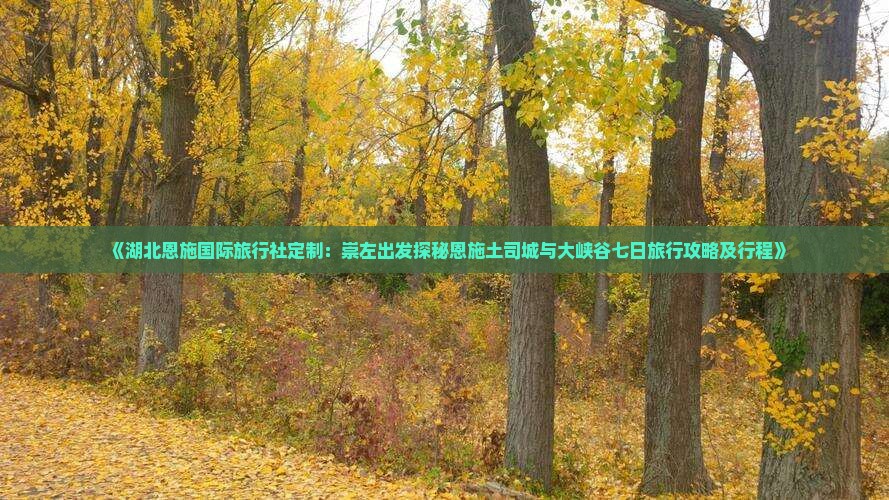 《湖北恩施国际旅行社定制：崇左出发探秘恩施土司城与大峡谷七日旅行攻略及行程》