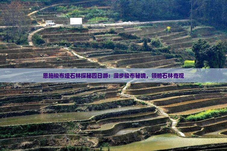 恩施梭布垭石林探秘四日游：漫步梭布秘境，领略石林奇观