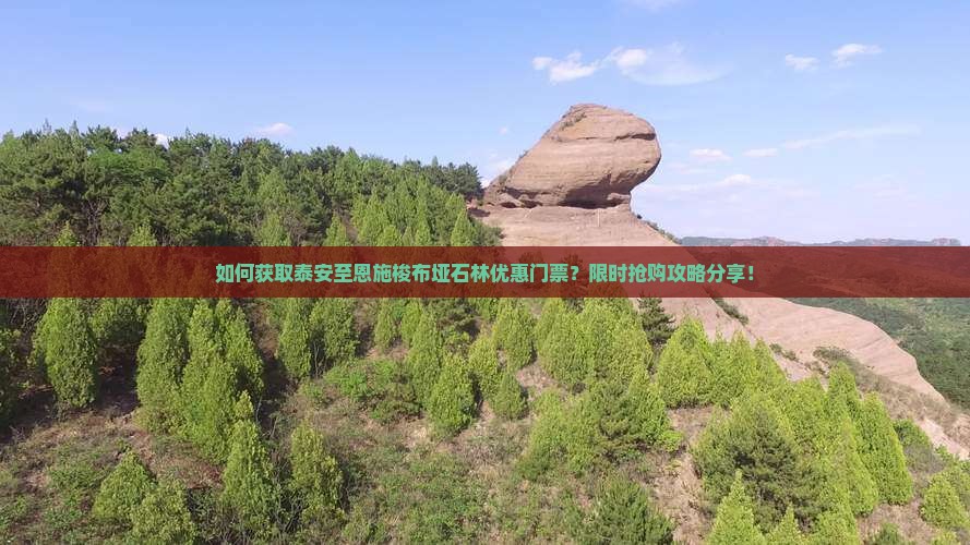 如何获取泰安至恩施梭布垭石林优惠门票？限时抢购攻略分享！