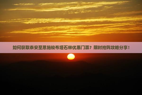 如何获取泰安至恩施梭布垭石林优惠门票？限时抢购攻略分享！