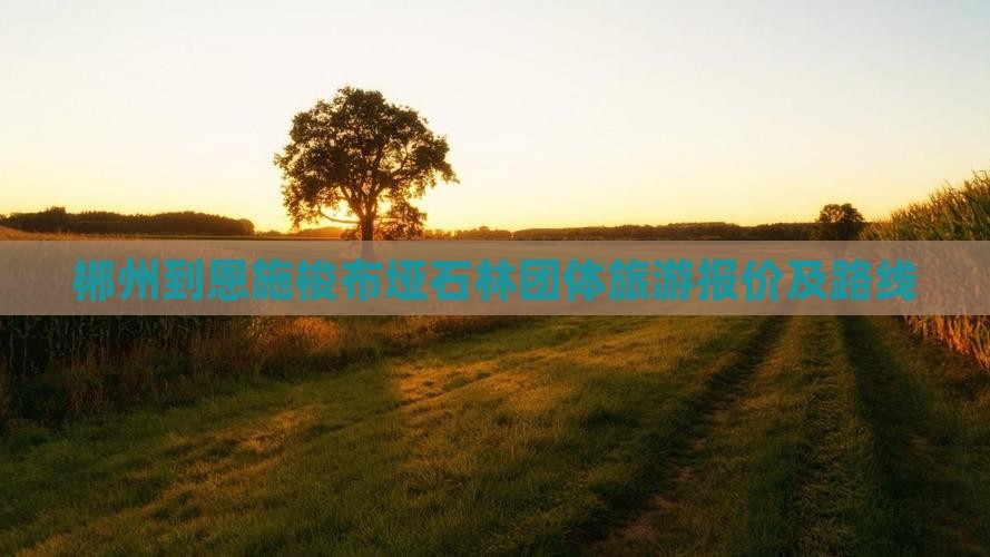 郴州到恩施梭布垭石林团体旅游报价及路线