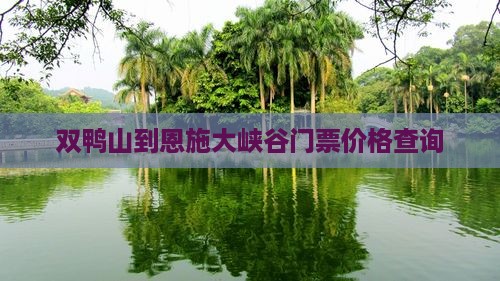 双鸭山到恩施大峡谷门票价格查询