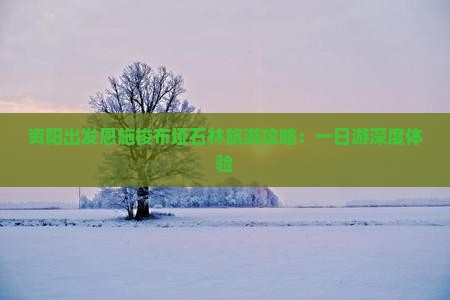 资阳出发恩施梭布垭石林旅游攻略：一日游深度体验