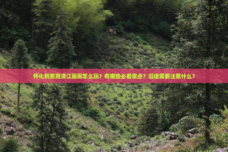 怀化到恩施清江画廊怎么玩？有哪些必看景点？沿途需要注意什么？