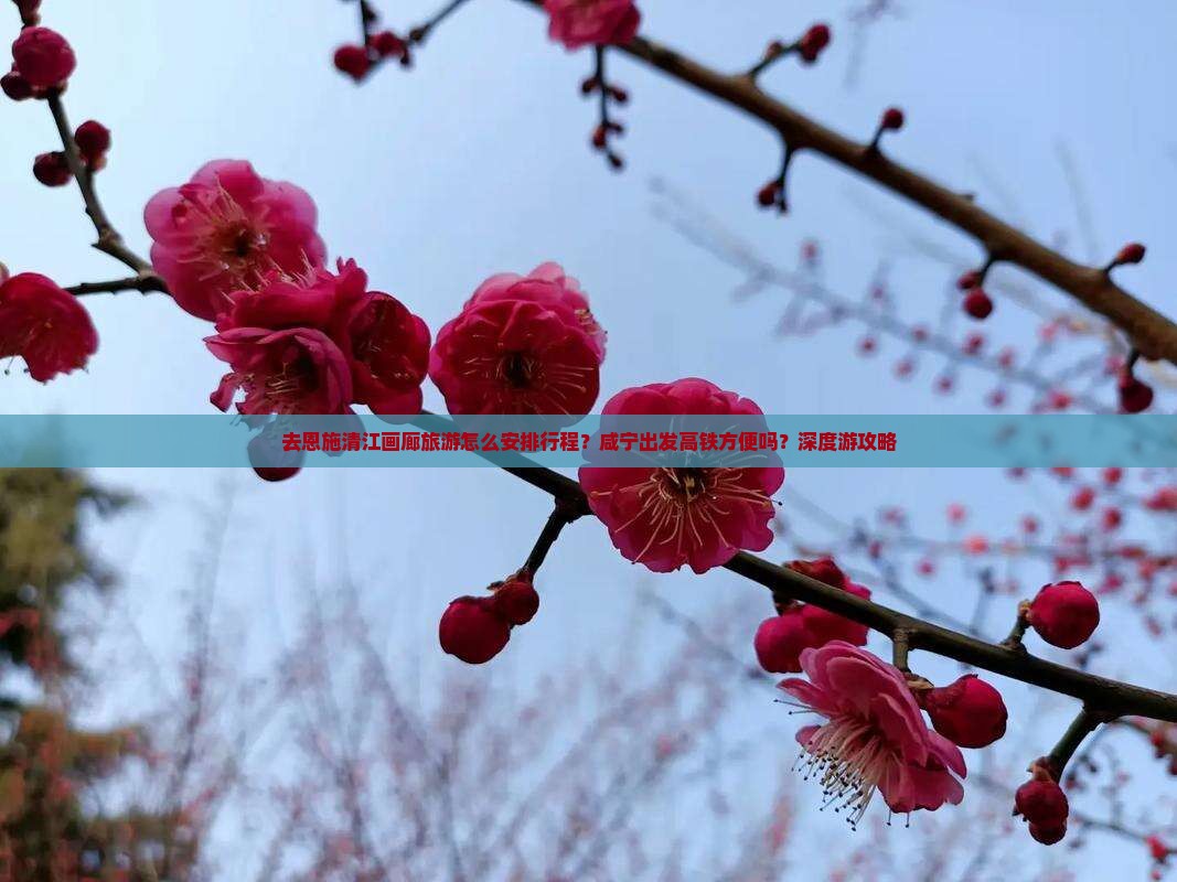 去恩施清江画廊旅游怎么安排行程？咸宁出发高铁方便吗？深度游攻略
