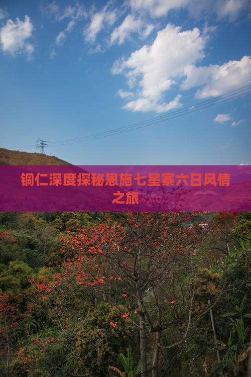 铜仁深度探秘恩施七星寨六日风情之旅