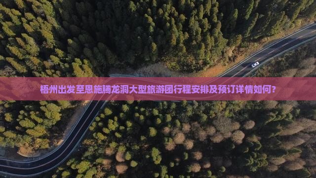 梧州出发至恩施腾龙洞大型旅游团行程安排及预订详情如何？